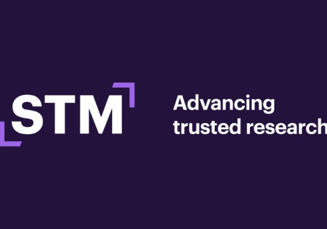 STM Logo